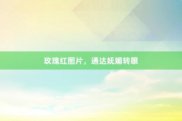 玫瑰红图片，通达妩媚转眼